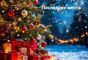 Последние места на новогодние автобусные туры!