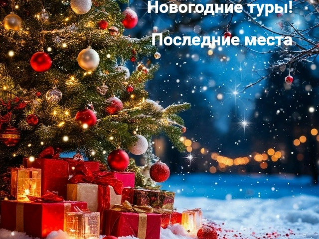 Последние места на новогодние автобусные туры!